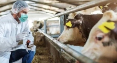 Hastalık Yeniden Hortladı! 46 Köye Giriş ve Çıkışlar Kapatıldı! Aman Dikkat