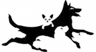 Resimde Kaç Köpek Var?