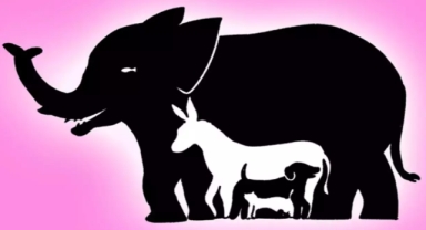 Resimde kaç tane hayvan görebiliyorsunuz? 