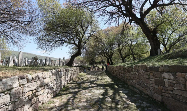 Foça'daki Phokaia Antik Kenti'ndeki yol ziyarete açılıyor