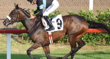 At yarışı bahislerine zam