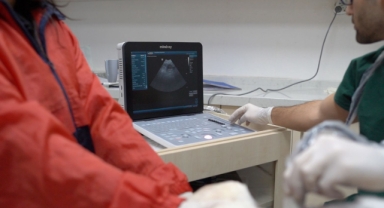 BANDIRMA BELEDİYESİ PATİLİ DOSTLARININ YANINDA