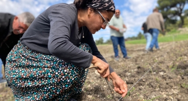Bornova’da üretime destek
