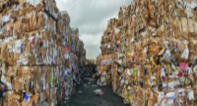 Bursa'da 1433 ağaç kesilmekten kurtuldu