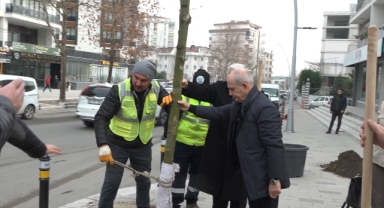 Büyükçekmece’de 2024 yılına 24 mahallede ağaç dikerek girildi