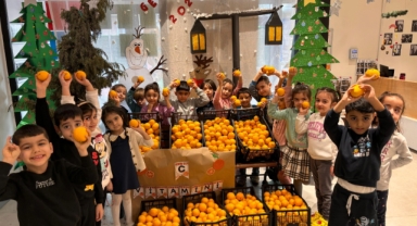 İBB HATAYLI ÜRETİCİLERDEN SATIN ALDIĞI NARENCİYELERİ İSTANBULLULARA ULAŞTIRDI