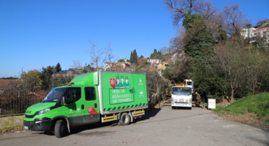 Kartal’da, Asırlık Ağaçlara Özel Bakım