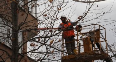 Kartal’da Budanan Ağaçlar İhtiyaç Sahiplerine Yakacak Olarak Geri Dönüyor