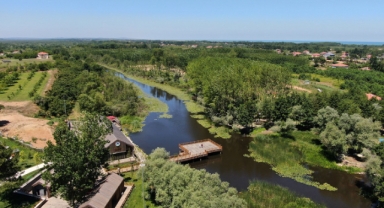 Sakarya’nın doğa harikası Acarlar Longozu 2023’te 140 binden fazla ziyaretçiyi ağırladı
