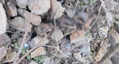 Tarihi Asansör yakınında insan iskeleti bulundu