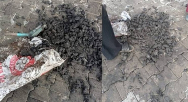 Valiliğin yardım amacıyla dağıttığı kömür taş çıktı