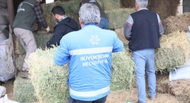 ZOR DURUMDAKİ AYDINLI ÜRETİCİYE YEM VE YONCA DESTEĞİ