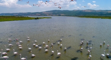 TÜRKİYE ÇEVRE PLATFORMU