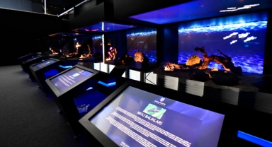 ANKARA DİJİTAL HAYVANAT BAHÇESİ AÇILIYOR