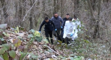 Çıplak halde kravatlarla ağaca bağlanmış erkek cesedi bulundu