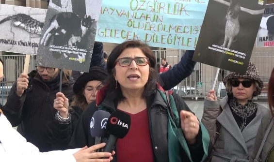 Kedileri kezzapla katletmişti cezası belli oldu