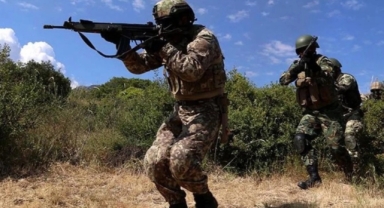 MİT'ten nokta operasyon 