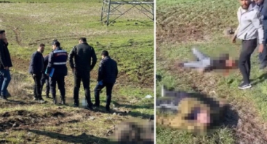 Yol tarifi için durdu dehşete tanık oldu