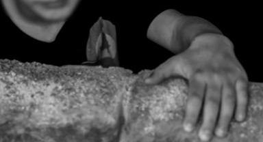 9 yaşındaki çocuğun cinsel organını kopardı 