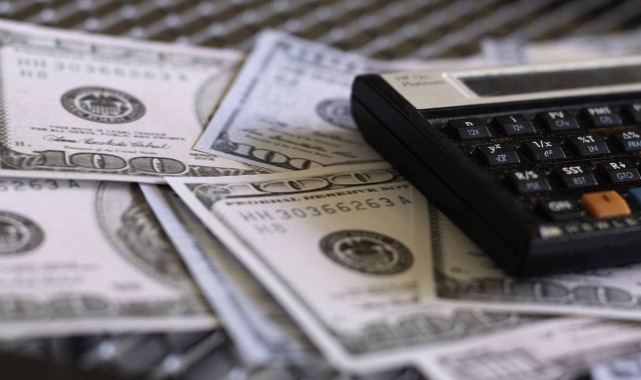 Dolar/TL'de zirve serisi sürüyor