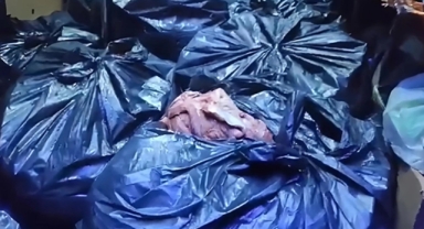 Durdurulan tırda 700 kilo at ve eşek eti bulundu 