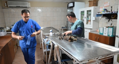 Kemer Belediyesi’nden “Can dostlarına” yardım eli 