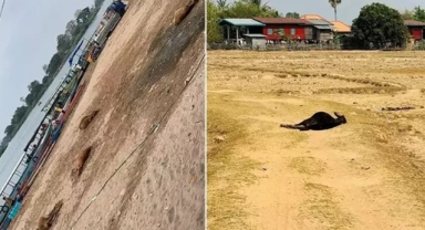 Laos’ta korkutan salgın