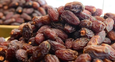 Taneyle hurma satışı başladı