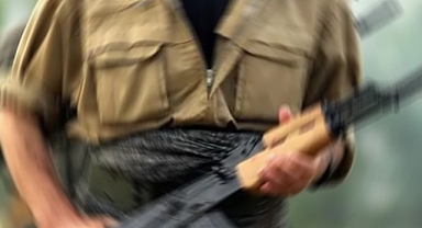 2 PKK'lı teslim oldu