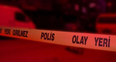 Abisini bıçaklayarak öldürdü