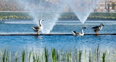 Ankara Büyükşehir dev bir rekreasyon alanına dönüştürerek Başkentlilerin kullanımına açtı