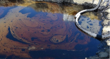 Boru hattından sızan petrol dereye karıştı