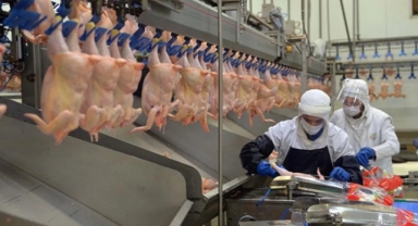 Fahiş fiyatlar sonrası bakanlık neşteri vurdu