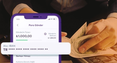 IBAN ile ödemede denetim dönemi