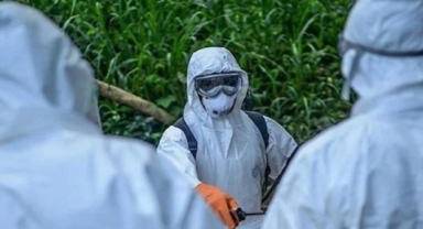 Salgın hızla yayılıyor