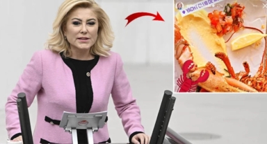 Şebnem Bursalı'dan ilginç savunma