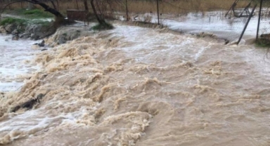 Sel kabusu: 155 kişi can verdi