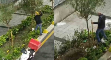 Tahtaları söküp ağaçla kavga etti