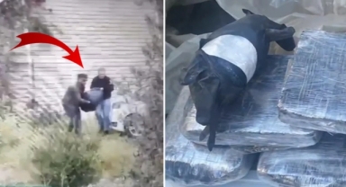 Uluslararası uyuşturucu çetesi çökertildi