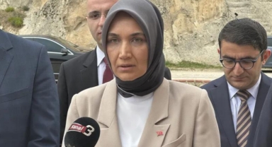 Afyonkarahisar Valisi'nden 'böcek' açıklaması