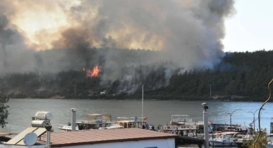 Bodrum'da ormanları 100 bin liraya yakmış 