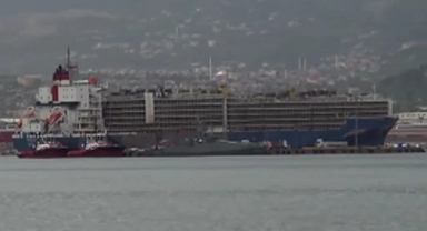 Brezilya'dan 27 bin angus ithal edildi 