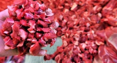 Hastalıklı et skandalı