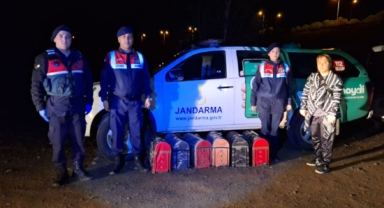 Hayvanları Koruma Derneği'ne 'dövüş' baskını