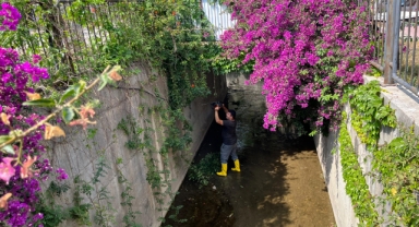 Kemer’de dere temizliği