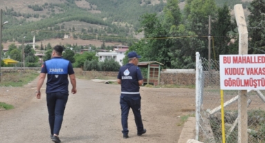 Mahallede altı ay kuduz karantinası
