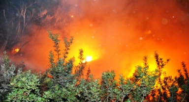 Muğla’da korkutan orman yangını