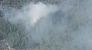 Muğla'da orman yangını