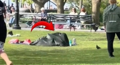 Parkta battaniye altında ilişkiye girdiler