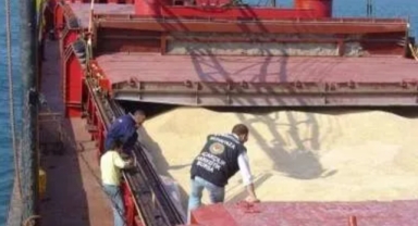 Tekirdağ Limanı’na Getirilen Mısırda GDO Tespit Edildi